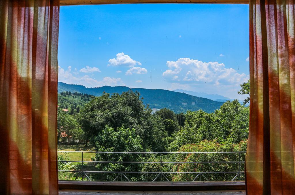 Hotel Elatofilito Athamanio ภายนอก รูปภาพ