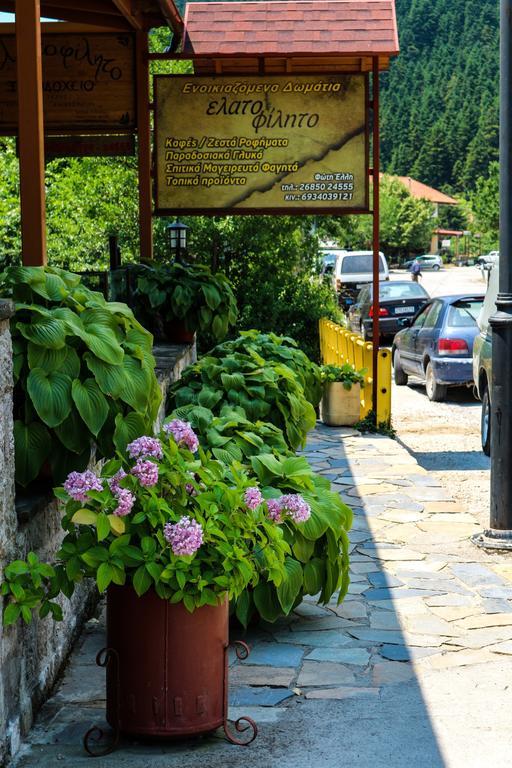 Hotel Elatofilito Athamanio ภายนอก รูปภาพ